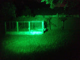 Feeder Light