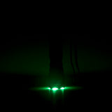 Envy 1 Long Distance Green LED Hunting Light