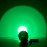 Envy 2 Long Distance Green LED Night Hunting Light